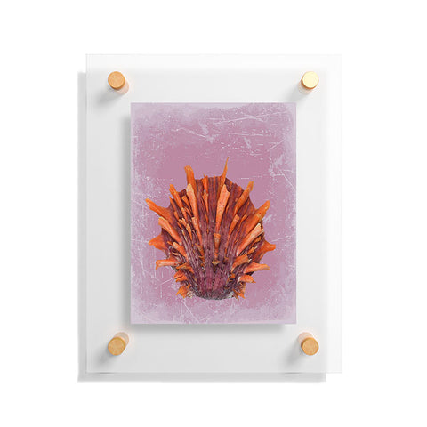 Deb Haugen Shell Orange Floating Acrylic Print