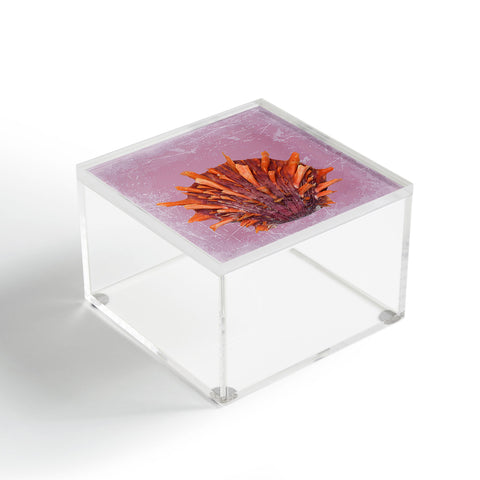 Deb Haugen Shell Orange Acrylic Box