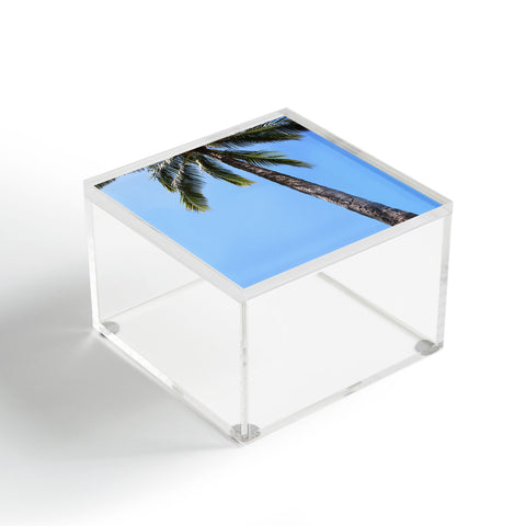 Deb Haugen simply a palm Acrylic Box