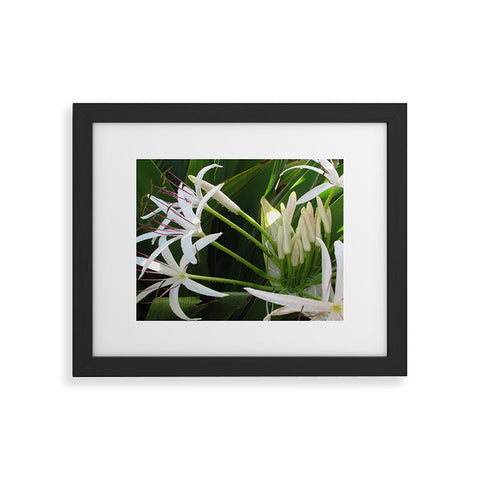 Deb Haugen spider lily Framed Art Print