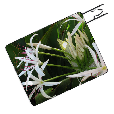 Deb Haugen spider lily Picnic Blanket