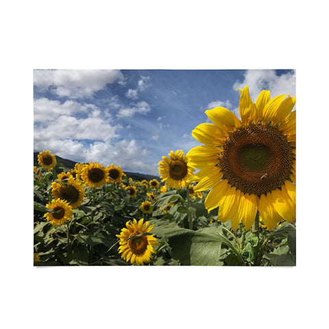 Deb Haugen sunflower love Poster