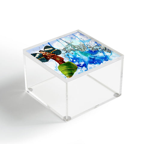 Deb Haugen Wings 3 Acrylic Box