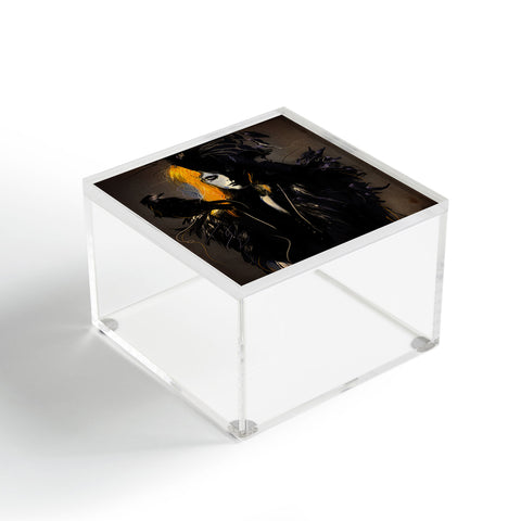 Deniz Ercelebi Crow Acrylic Box