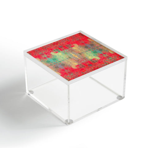 Deniz Ercelebi Poppy 1 Acrylic Box