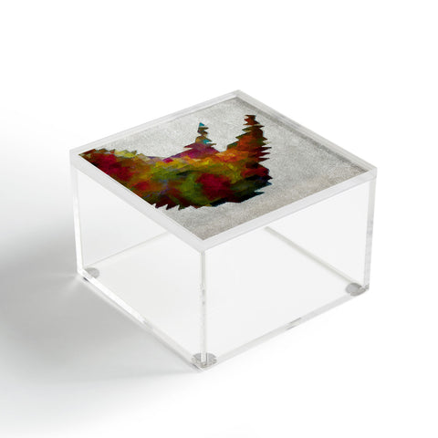 Deniz Ercelebi Rhino 1 Acrylic Box