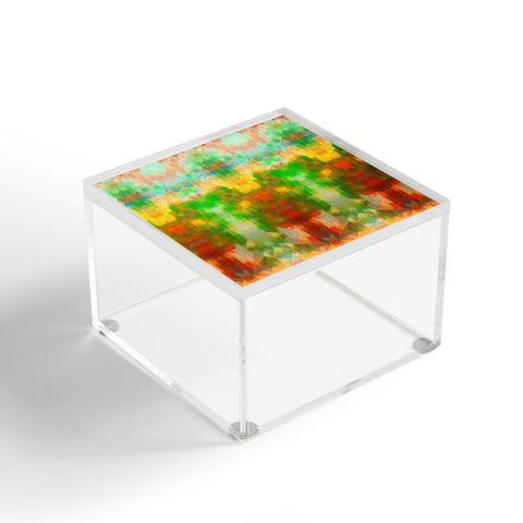 Deniz Ercelebi Spring 4 Acrylic Box