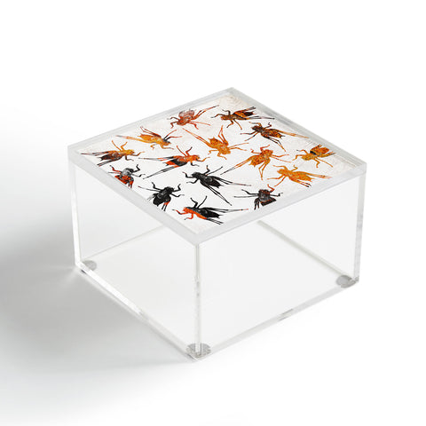 Elisabeth Fredriksson Grasshoppers 3 Acrylic Box