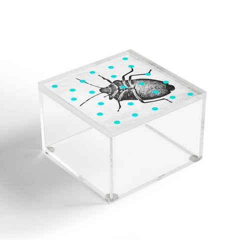 Elisabeth Fredriksson Little Stinkbug Acrylic Box