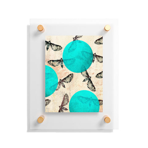 Elisabeth Fredriksson Moths Floating Acrylic Print