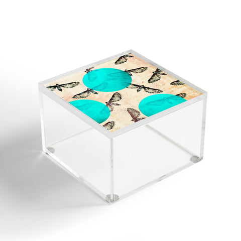 Elisabeth Fredriksson Moths Acrylic Box