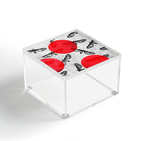 Elisabeth Fredriksson Moths II Acrylic Box
