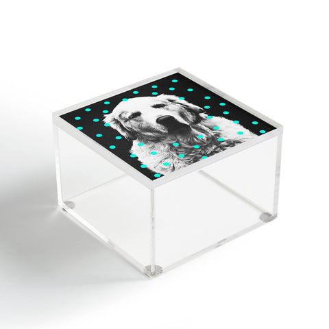 Elisabeth Fredriksson Sleepy Dog Acrylic Box
