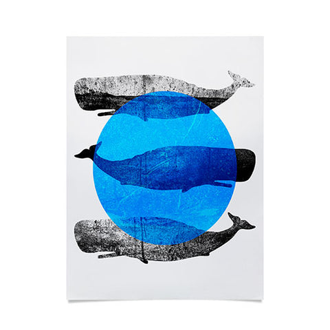 Elisabeth Fredriksson Whales Poster