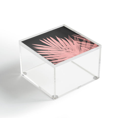 Emanuela Carratoni Blush Palm Leaves Acrylic Box