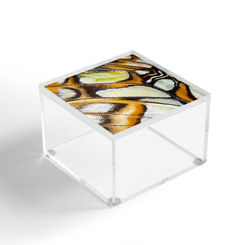 Emanuela Carratoni Butterfly Texture Acrylic Box
