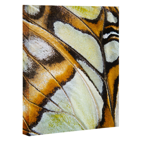 Emanuela Carratoni Butterfly Texture Art Canvas