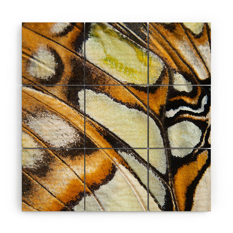 Emanuela Carratoni Butterfly Texture Wood Wall Mural