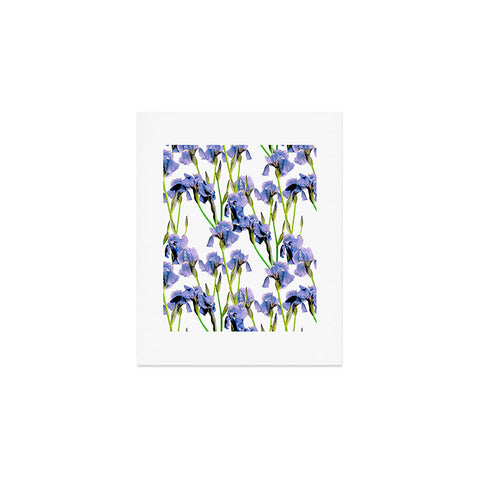 Emanuela Carratoni Iris Spring Pattern Art Print