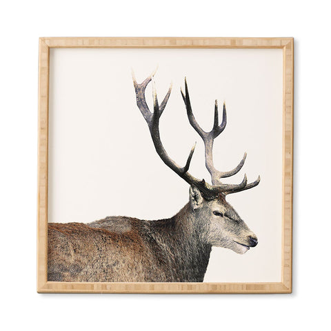 Emanuela Carratoni Oh my Deer Framed Wall Art