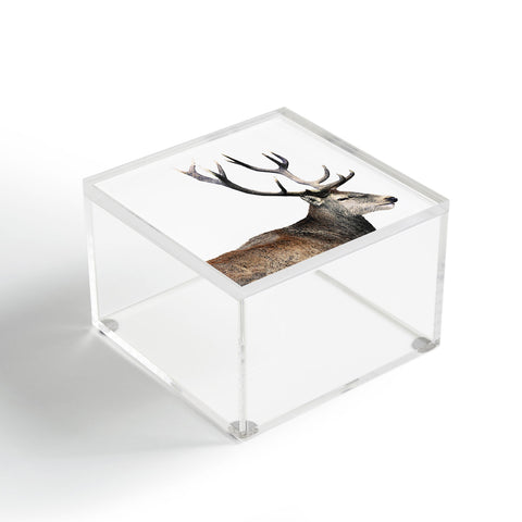 Emanuela Carratoni Oh my Deer Acrylic Box