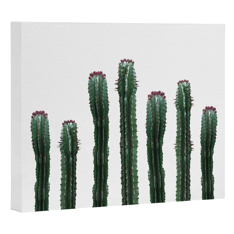 Emanuela Carratoni The Cactus Mood Art Canvas