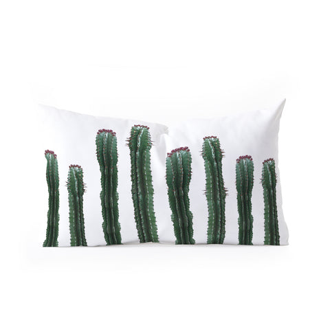 Emanuela Carratoni The Cactus Mood Oblong Throw Pillow