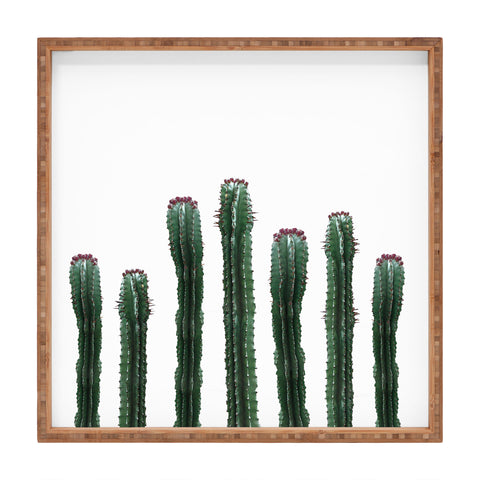 Emanuela Carratoni The Cactus Mood Square Tray
