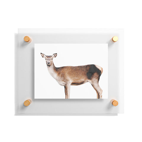 Emanuela Carratoni The Sweet Deer Floating Acrylic Print