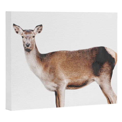 Emanuela Carratoni The Sweet Deer Art Canvas