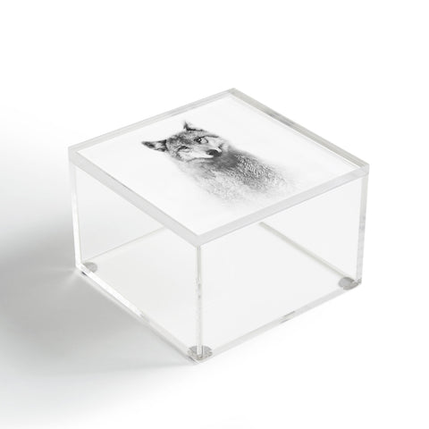Emanuela Carratoni The Wolf and the Forest Acrylic Box