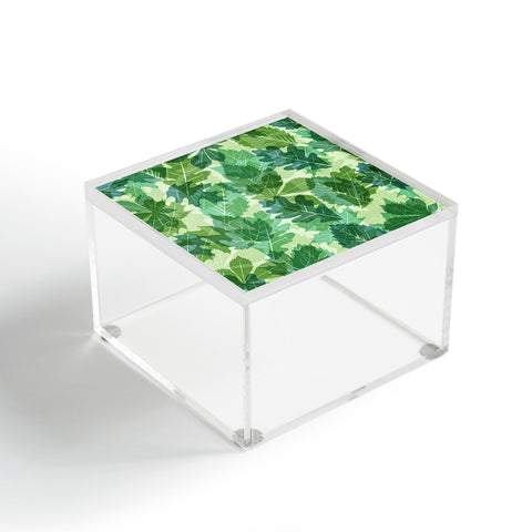 Fimbis Leaves Green Acrylic Box