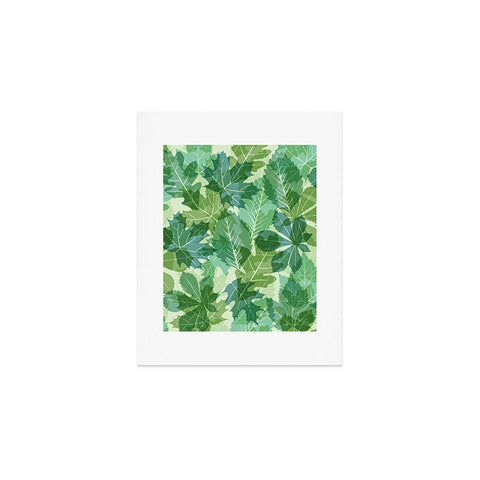 Fimbis Leaves Green Art Print