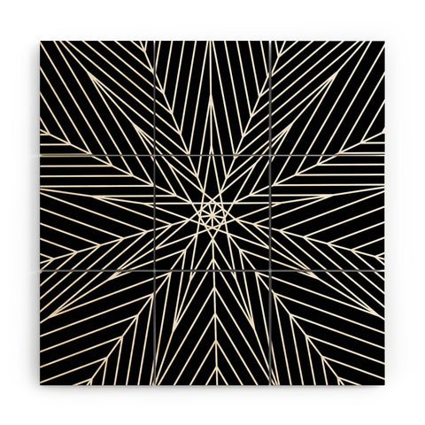 Fimbis Star Power Black and White Wood Wall Mural
