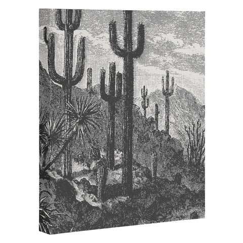 Florent Bodart Aster Cactus in Mountains Art Canvas