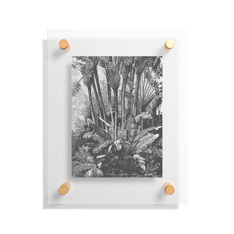 Florent Bodart Aster Palms in Water Floating Acrylic Print