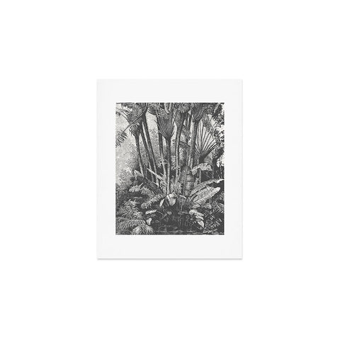 Florent Bodart Aster Palms in Water Art Print
