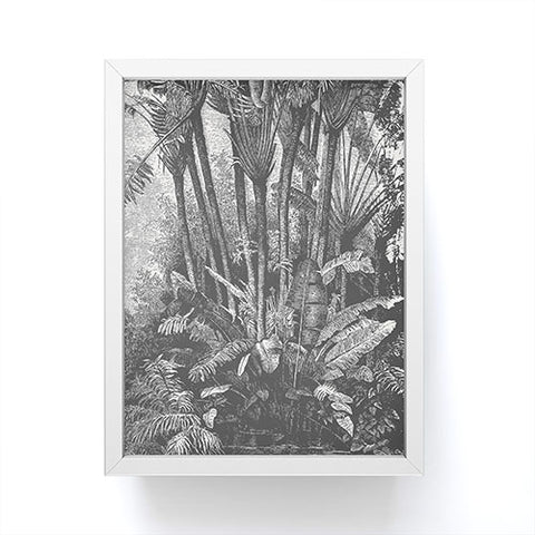Florent Bodart Aster Palms in Water Framed Mini Art Print