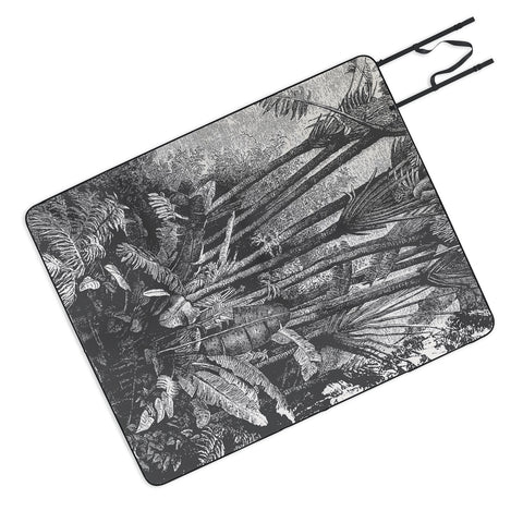 Florent Bodart Aster Palms in Water Picnic Blanket