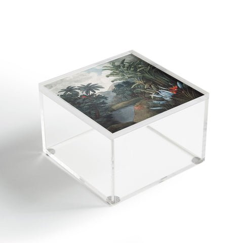Florent Bodart Aster Tropical Lake Acrylic Box