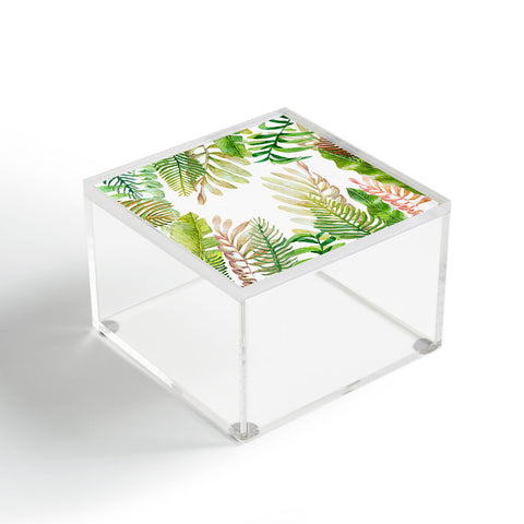 Francisco Fonseca circular nature Acrylic Box
