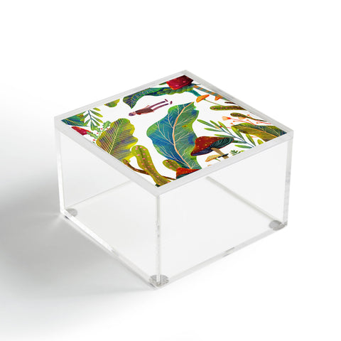 Francisco Fonseca floating Acrylic Box