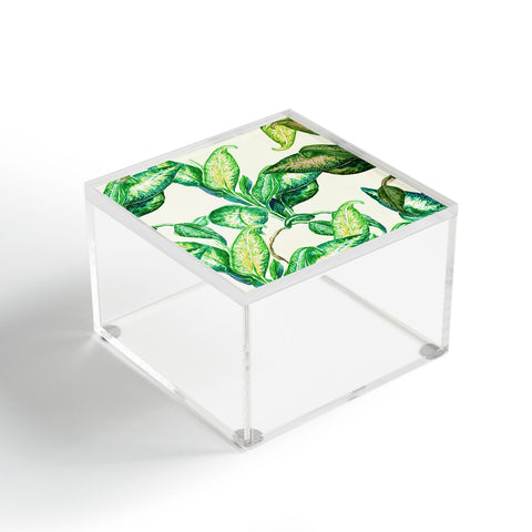 Francisco Fonseca green life Acrylic Box