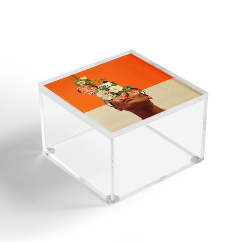 Frank Moth The Unexpected Acrylic Box