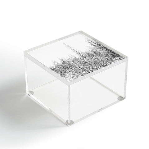 Gabriela Fuente snowland Acrylic Box