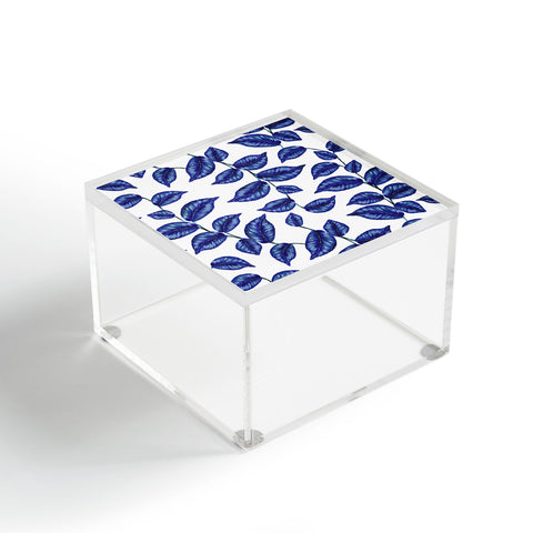 Gabriela Fuente Tropical Blue Acrylic Box