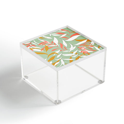 Gabriela Fuente tropicalius Acrylic Box