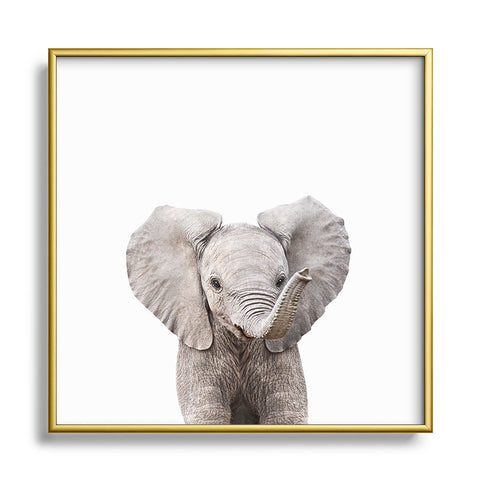 Gal Design Baby Elephant Colorful Metal Square Framed Art Print