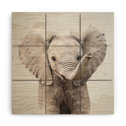 Gal Design Baby Elephant Colorful Wood Wall Mural
