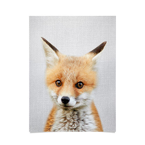 Gal Design Baby Fox Colorful Poster